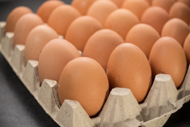 Cracking growth or no longer up to scratch? European cage-free egg pledges in point of interest