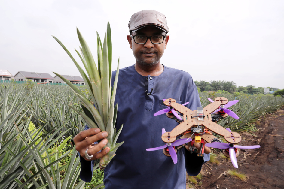 Researchers contain became pineapple leaves into drone formula