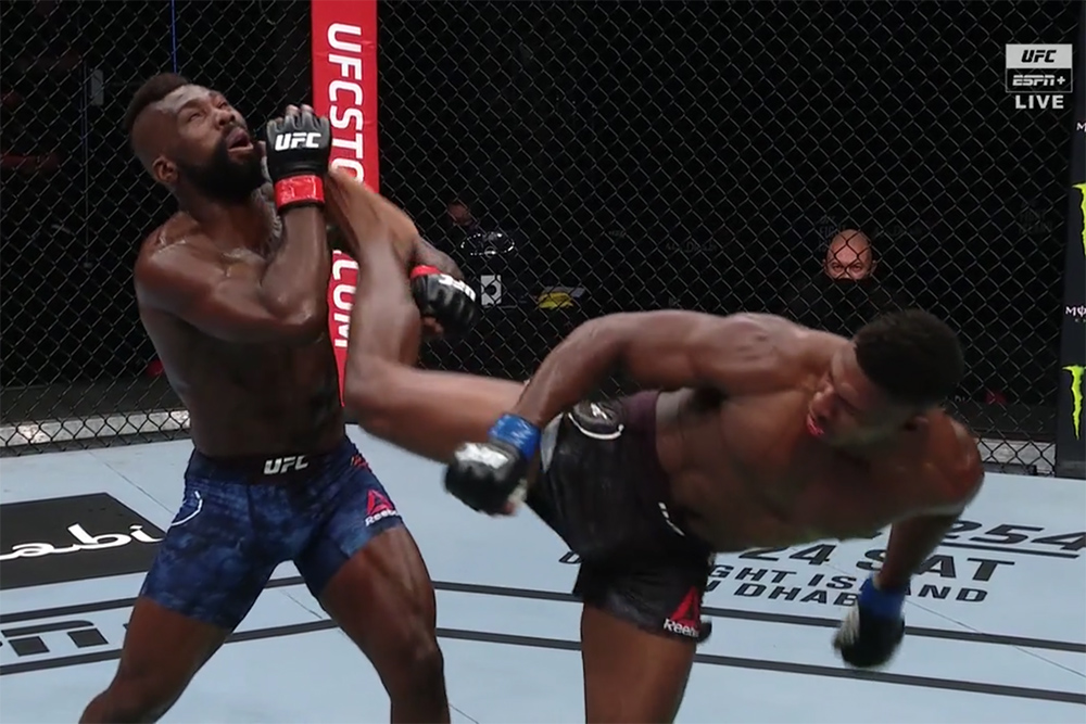 Video: UFC’s fans decision winners checklist contains one of many craziest KOs in history