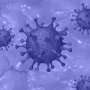 Spain registers document assortment of coronavirus cases