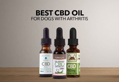 Supreme CBD Oil for Canines with Arthritis