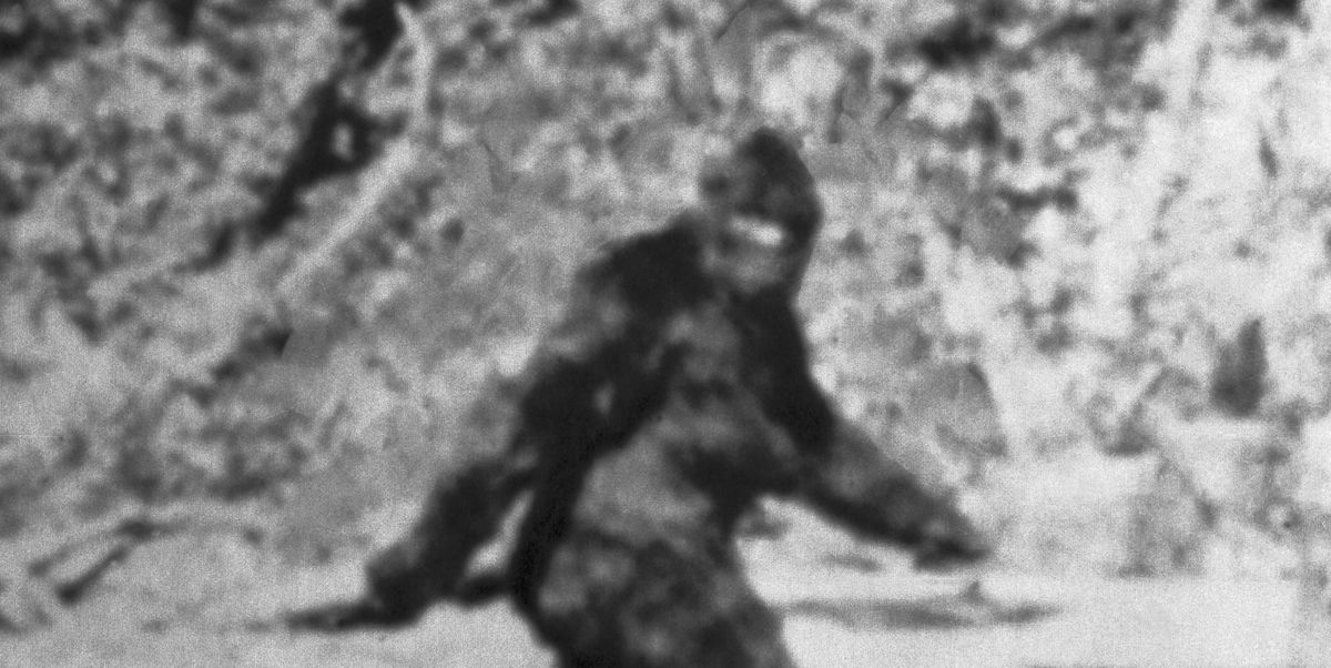 Essential New Laws Requires Bigfoot Hunting Season