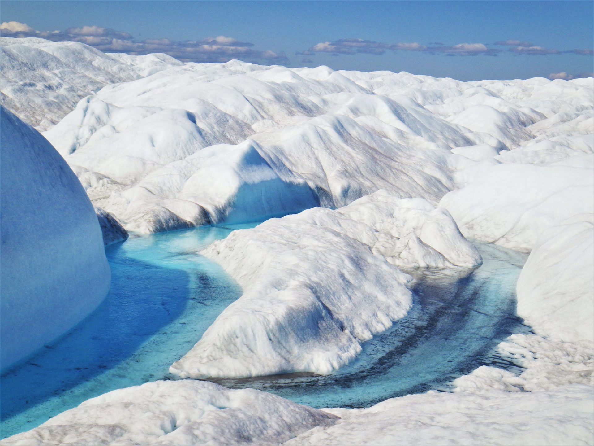 Sun-Loving Micro organism Can also Be Accelerating Glacial Melting