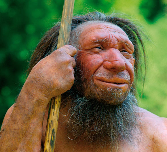 Forty eight,000-365 days-Frail Fossils Ticket at Neanderthal-Human Interbreeding
