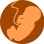 Lengthen 14-day human embryo analysis limit to twenty-eight days, urges ethicist