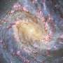 Camera captures the Southern Pinwheel galaxy in lovely detail