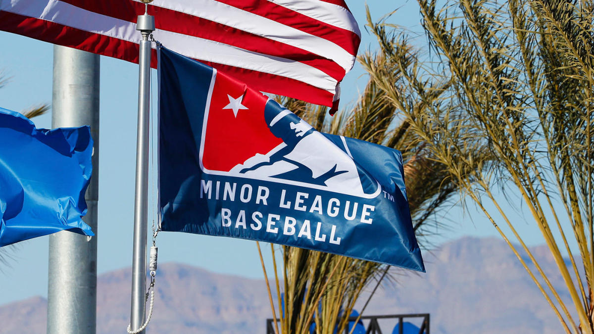 MLB unveils fresh format for minor league baseball divisions and affiliated team names for every stage