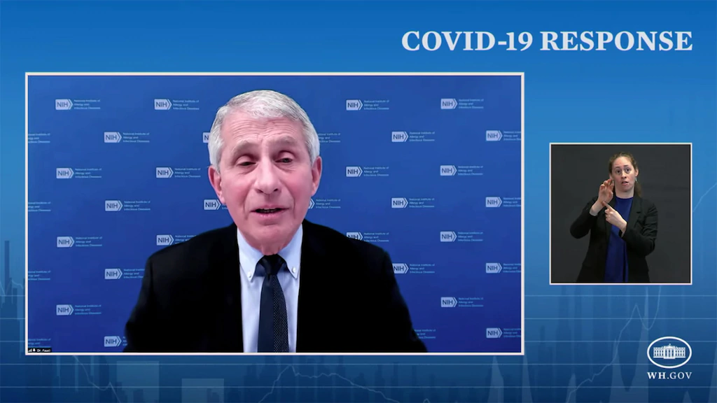 Fauci Unmoved by One-Dose COVID Vax Stories