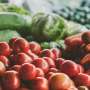 Plant-based totally diets make stronger cardiac characteristic, cognitive health