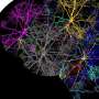Deep brain stimulation and articulate restore circulate in ataxia