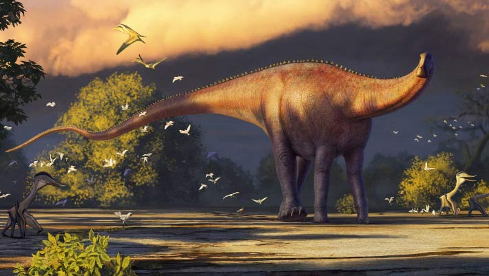 Fresh Sauropod Dinosaur Chanced on in Uzbekistan