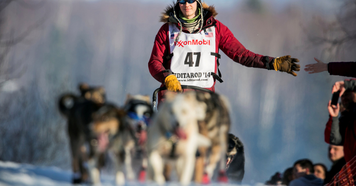 COVID precautions alter Alaska’s Iditarod canines-sledge race direction