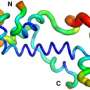 Recent proteins ‘out of nothing’