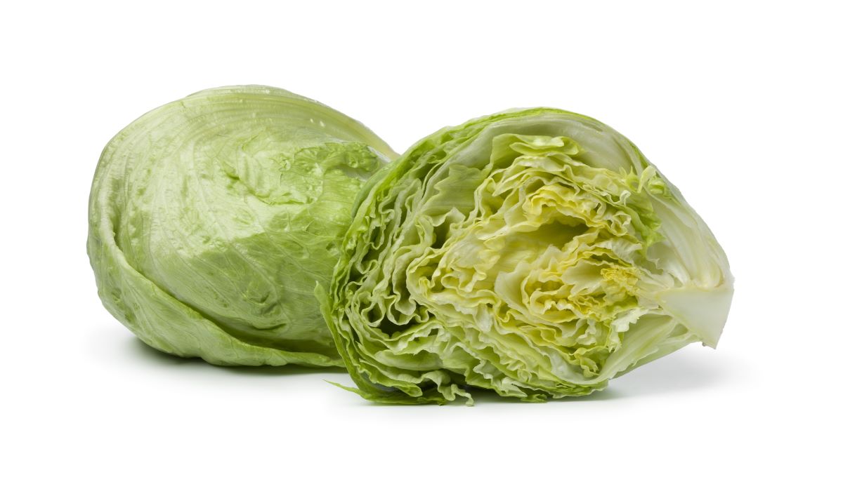 Yersinia outbreak linked to imported iceberg lettuce