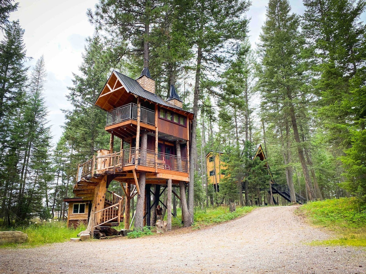 The 18 coolest tree-home rentals within the US, including a winery perch in California and a 3-legend cabin in Georgia