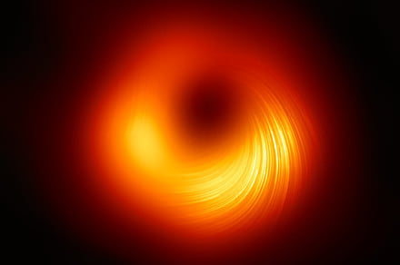 This fantastic image reveals the magnetic enviornment of a black hole