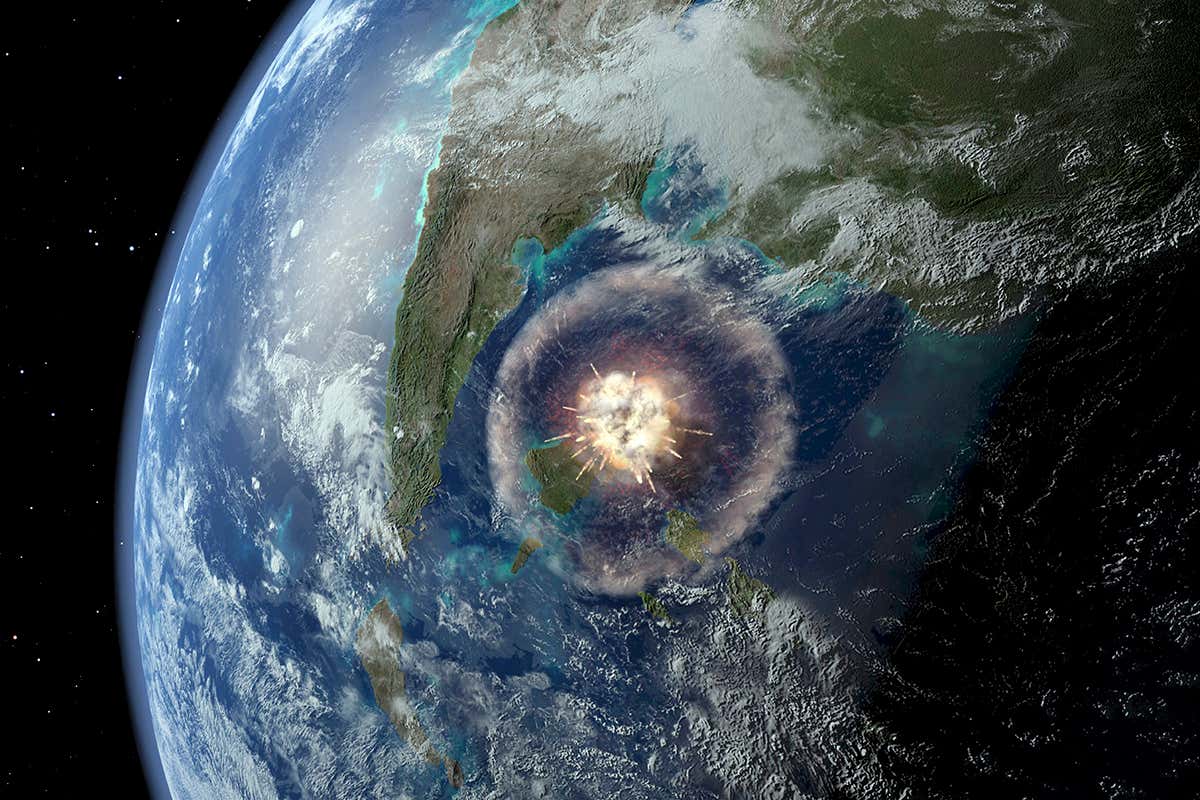Asteroid that killed the dinosaurs gave delivery to the Amazon rainforest