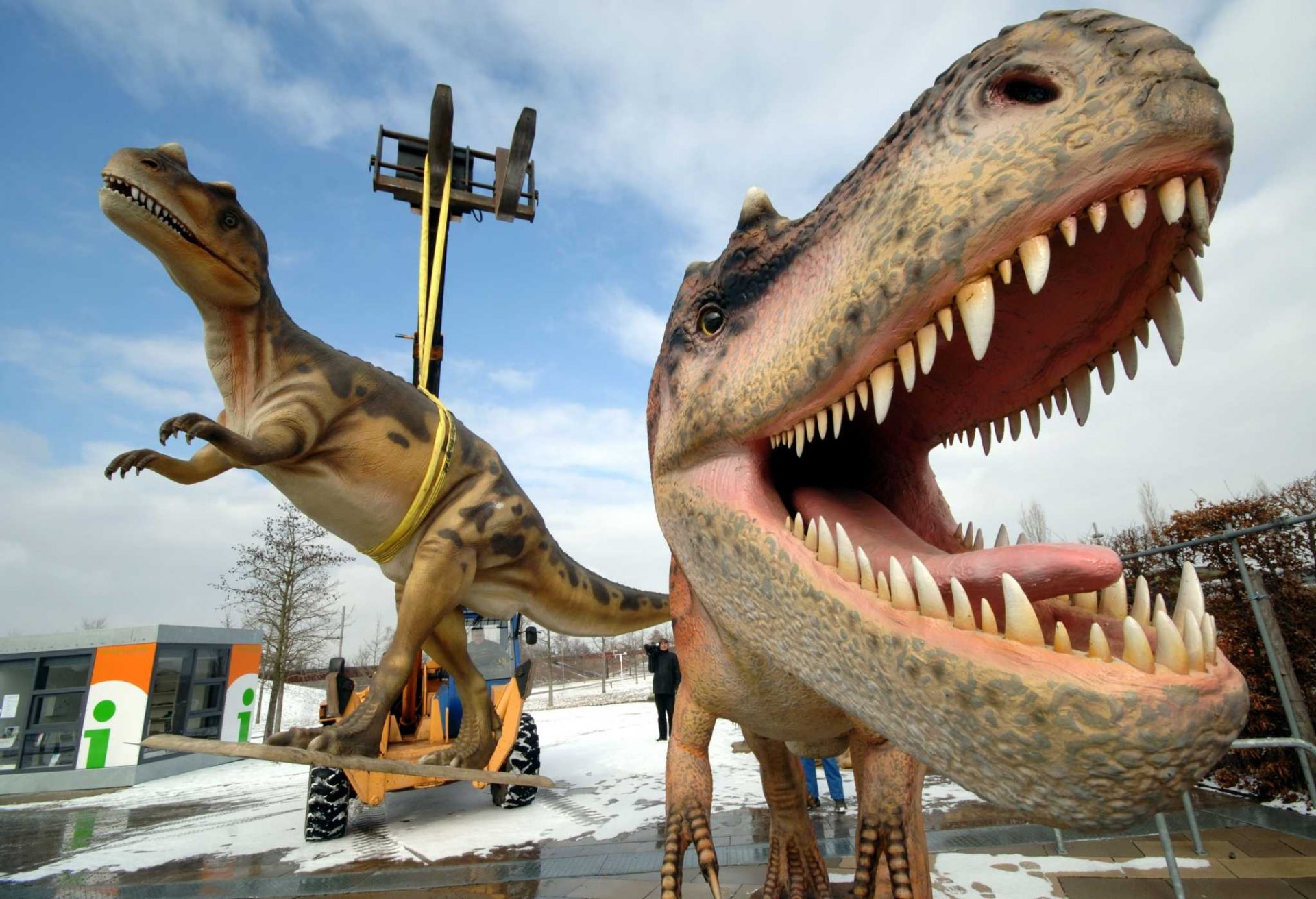 Ogle: 2.5 billion T. rex roamed Earth, however no longer