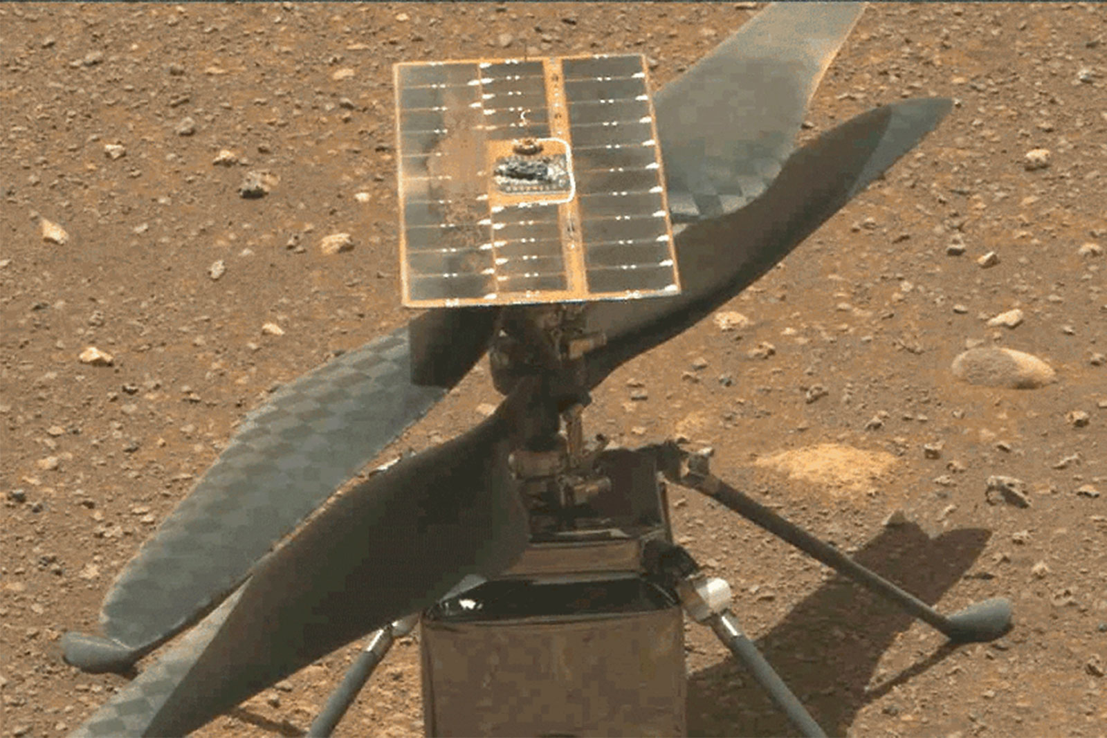 NASA will strive to waft its Mars helicopter on April 19th