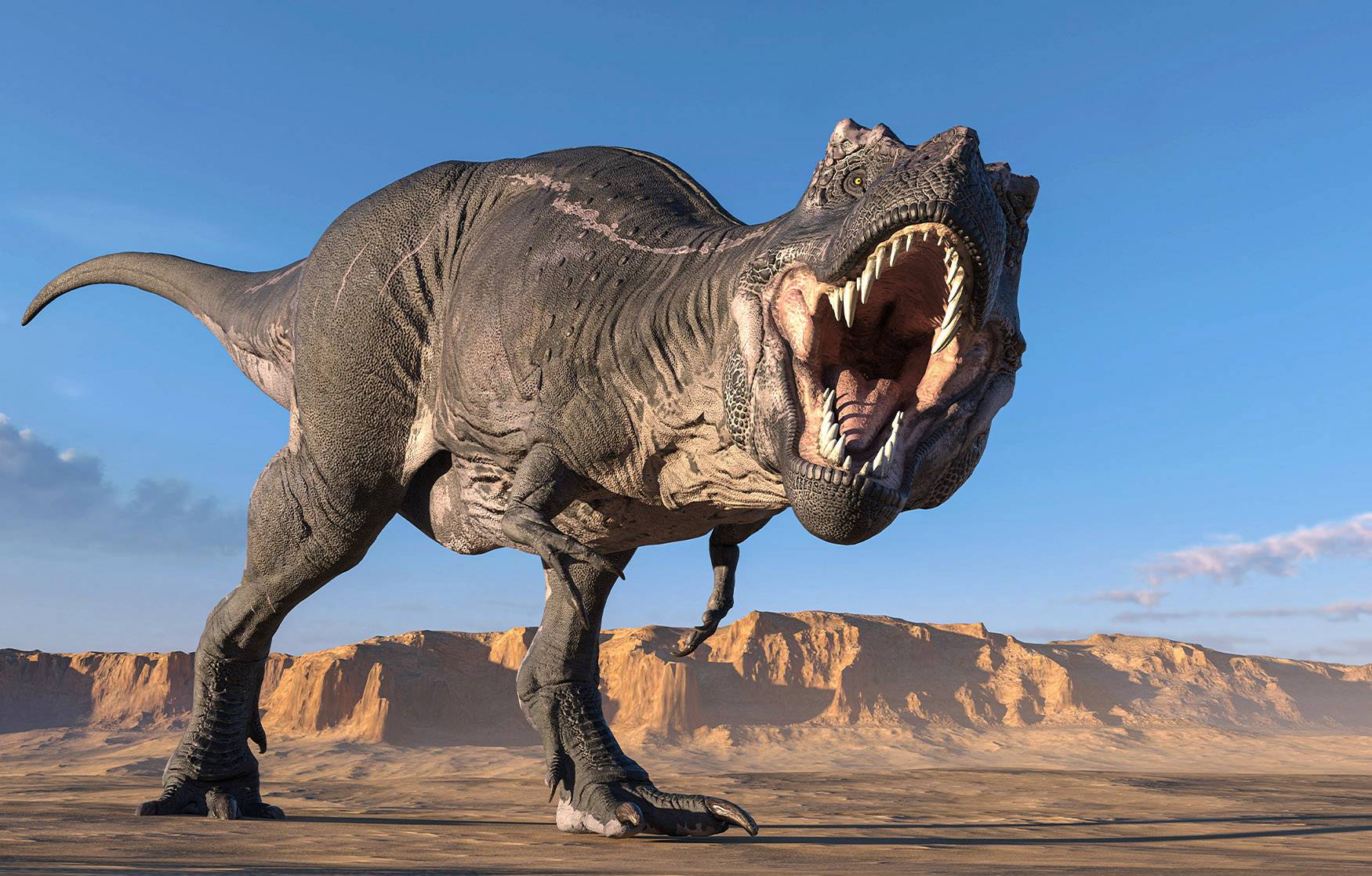 Recent look estimates comely assortment of T. rexes in Earth’s ancient previous