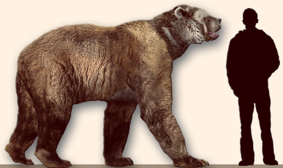 Genome-Wide Records from Stone Age Bears Recovered from Cave Sediments