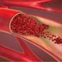 The form of blood vessel hurt determines its path to regeneration