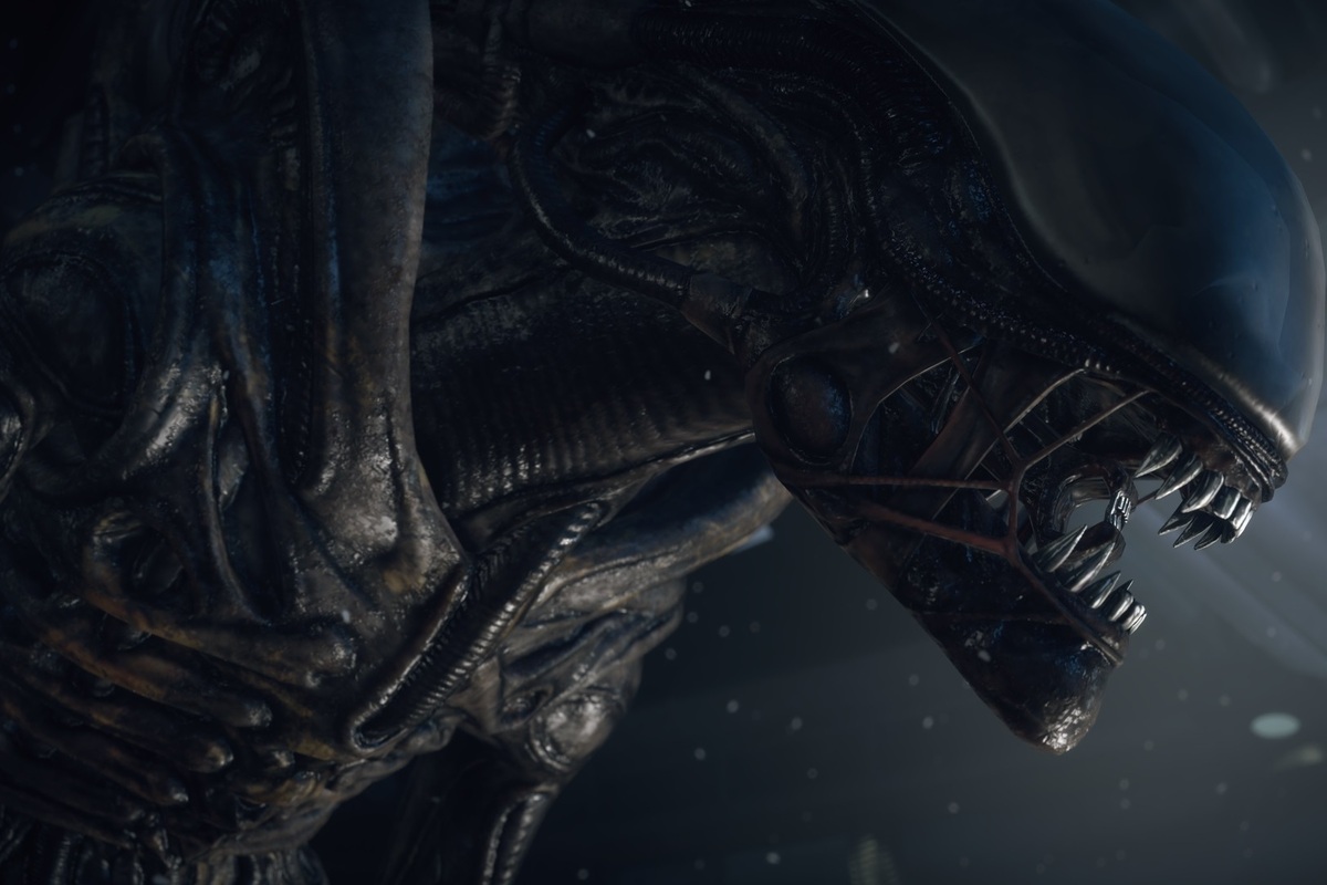 Toddle procure Alien: Isolation and Hand of Destiny 2 with out spending a dime on the Chronicle Games Retailer