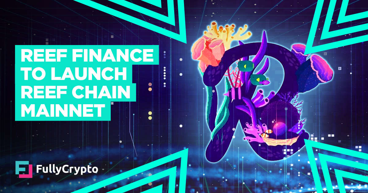 Would possibly additionally Launch Role for Reef Finance’s Reef Chain Mainnet