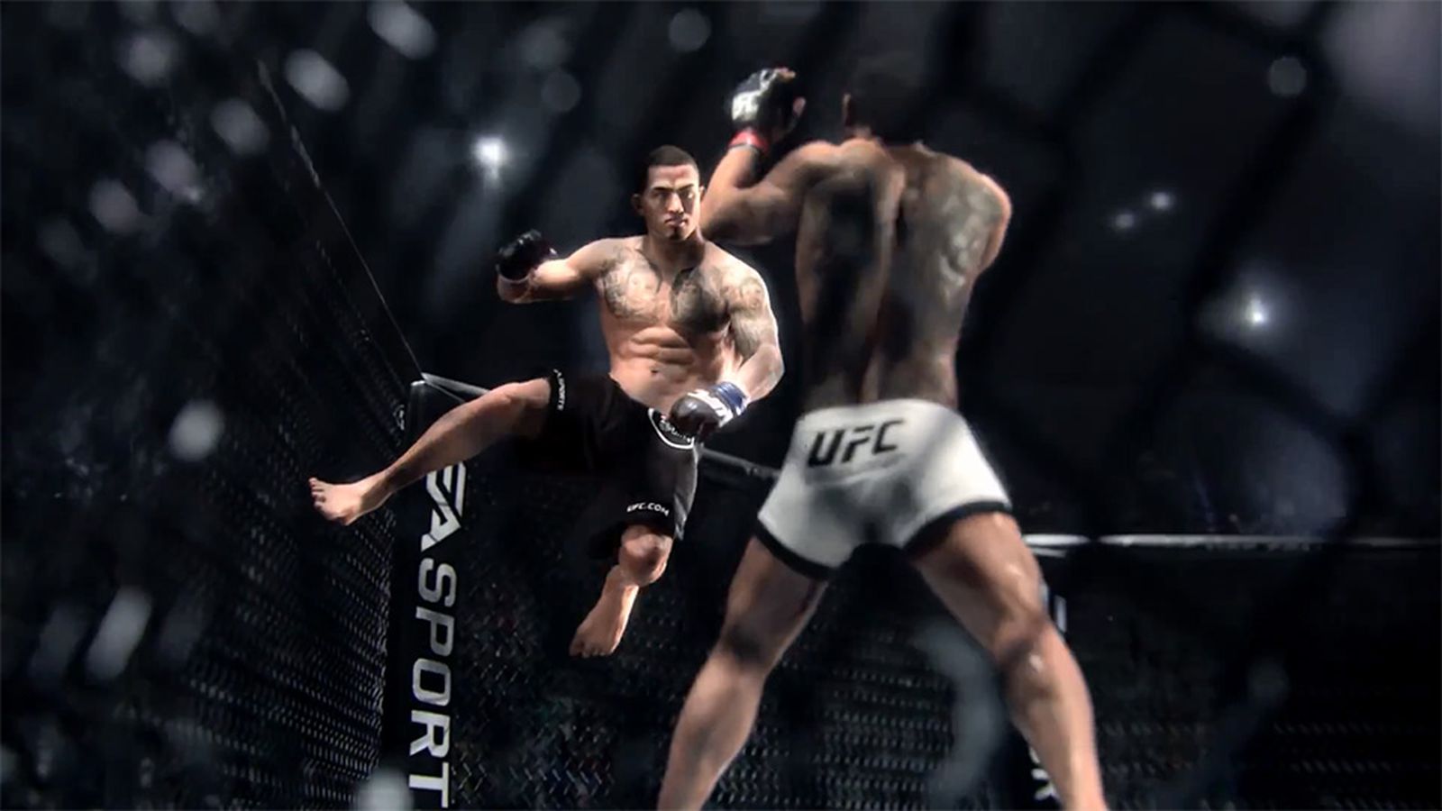 THQ sues UFC and EA over UFC video recreation license
