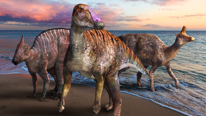 Meet Yamatosaurus izanagii, Fresh Hadrosaur from Japan