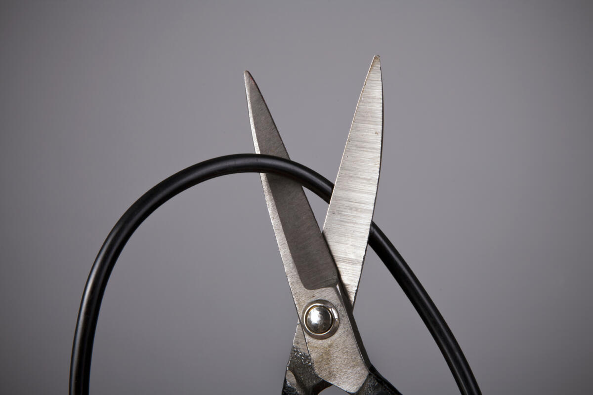 Wire cutting back: A newbie’s information