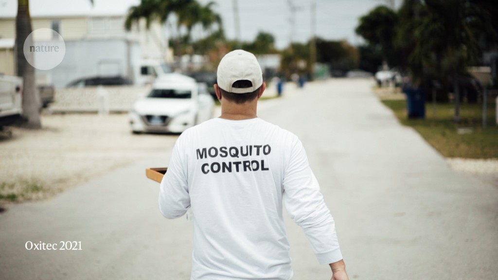 First genetically modified mosquitoes launched within the US