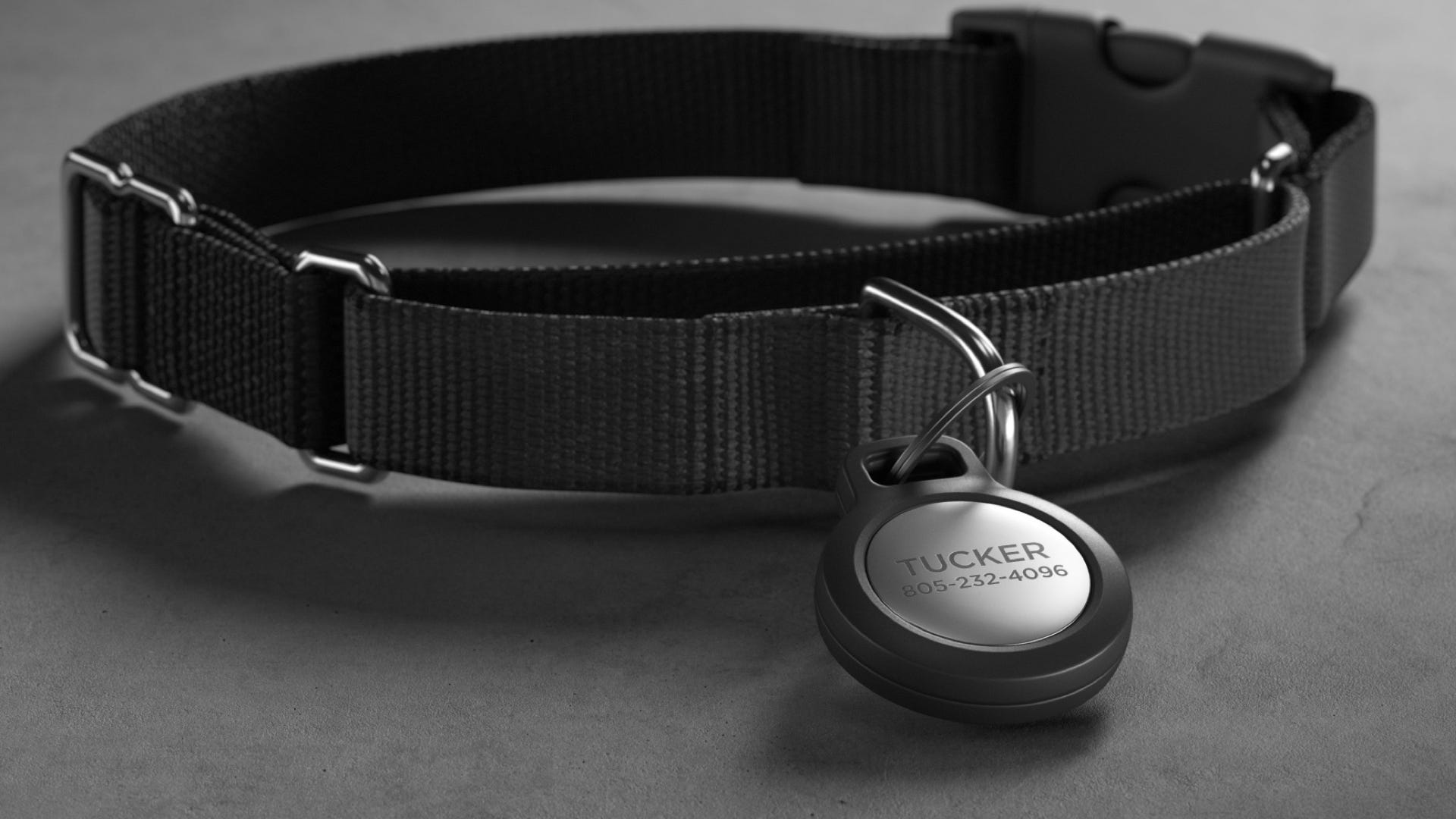 Nomad Releases Rugged AirTag Keychain and Engravable Pet Mark