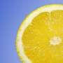 Lemon bushes confirmed less response to citrus greening illness pathogen than orange bushes