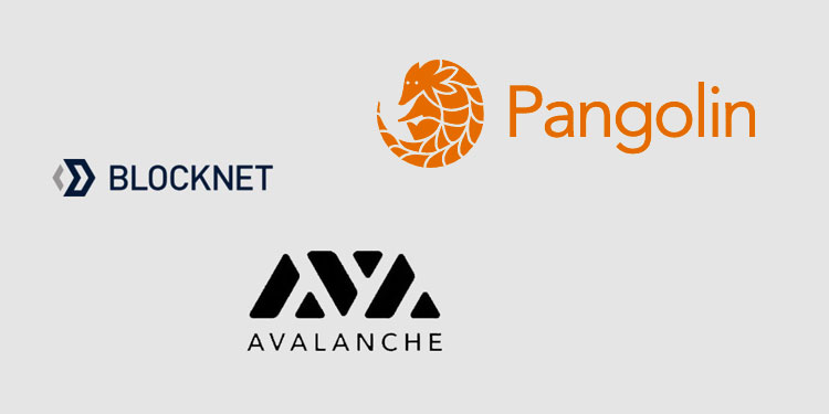 Blockchain interoperability platform Blocknet lists token on Avalanche-powered Pangolin DEX