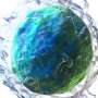 Epigenetic adjustments force the destiny of a B cell