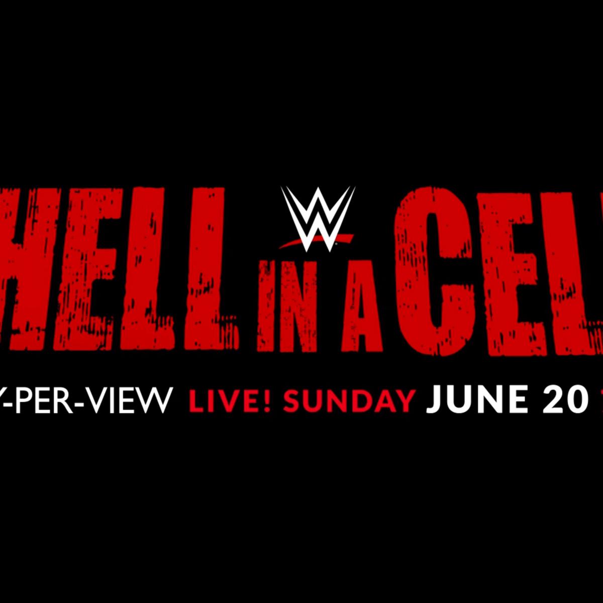 Ranking the Most productive Match Ideas to Clutch Feature Inner WWE Hell in a Cell