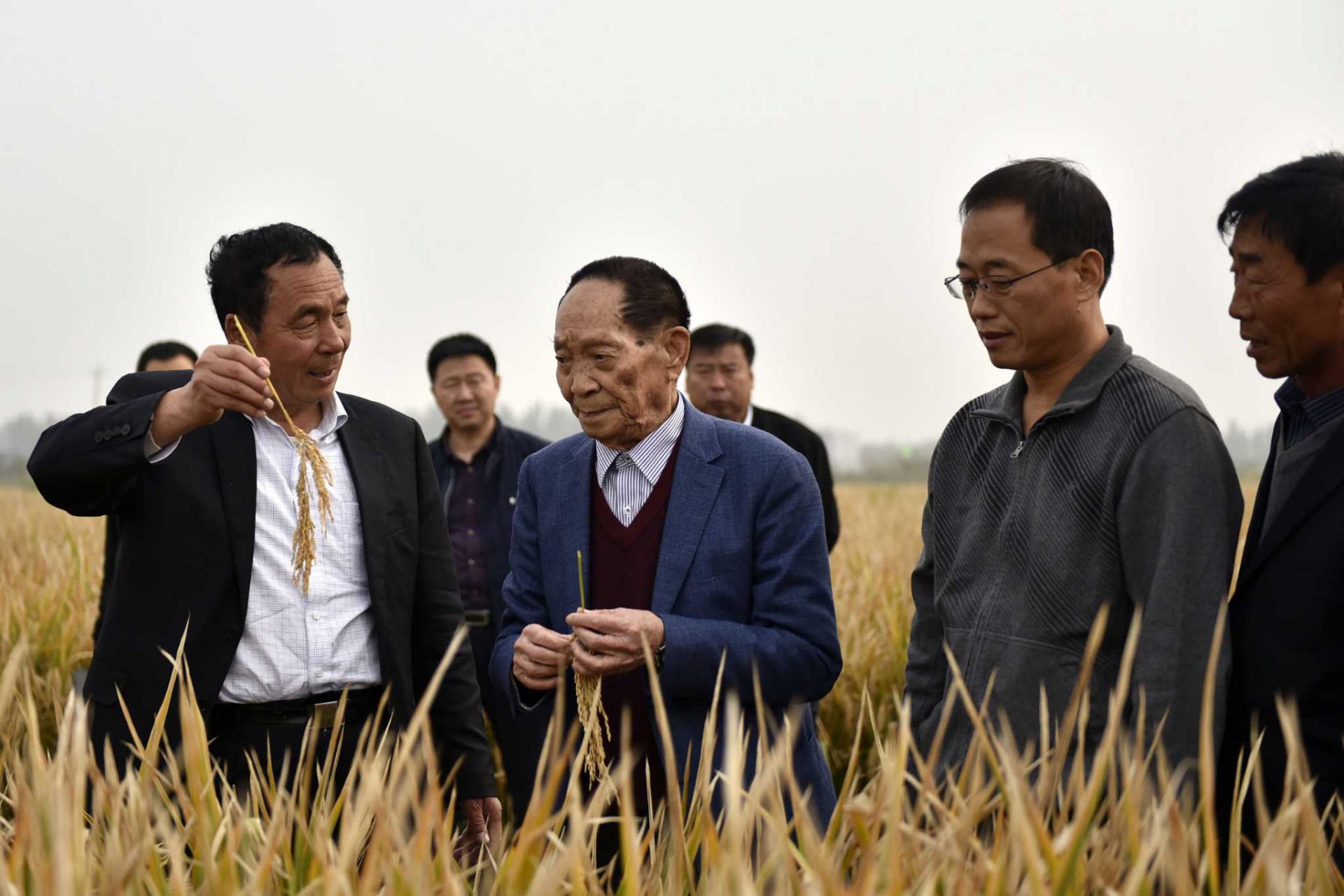 China’s Yuan Longping dies; rice research helped feed world
