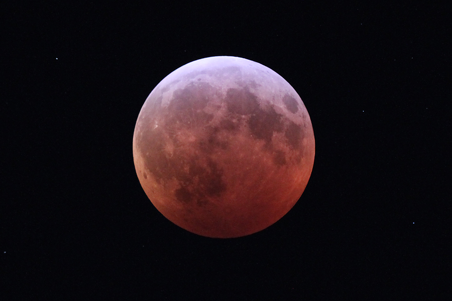 Notify your children regarding the Huge Flower Blood Moon lunar eclipse of 2021