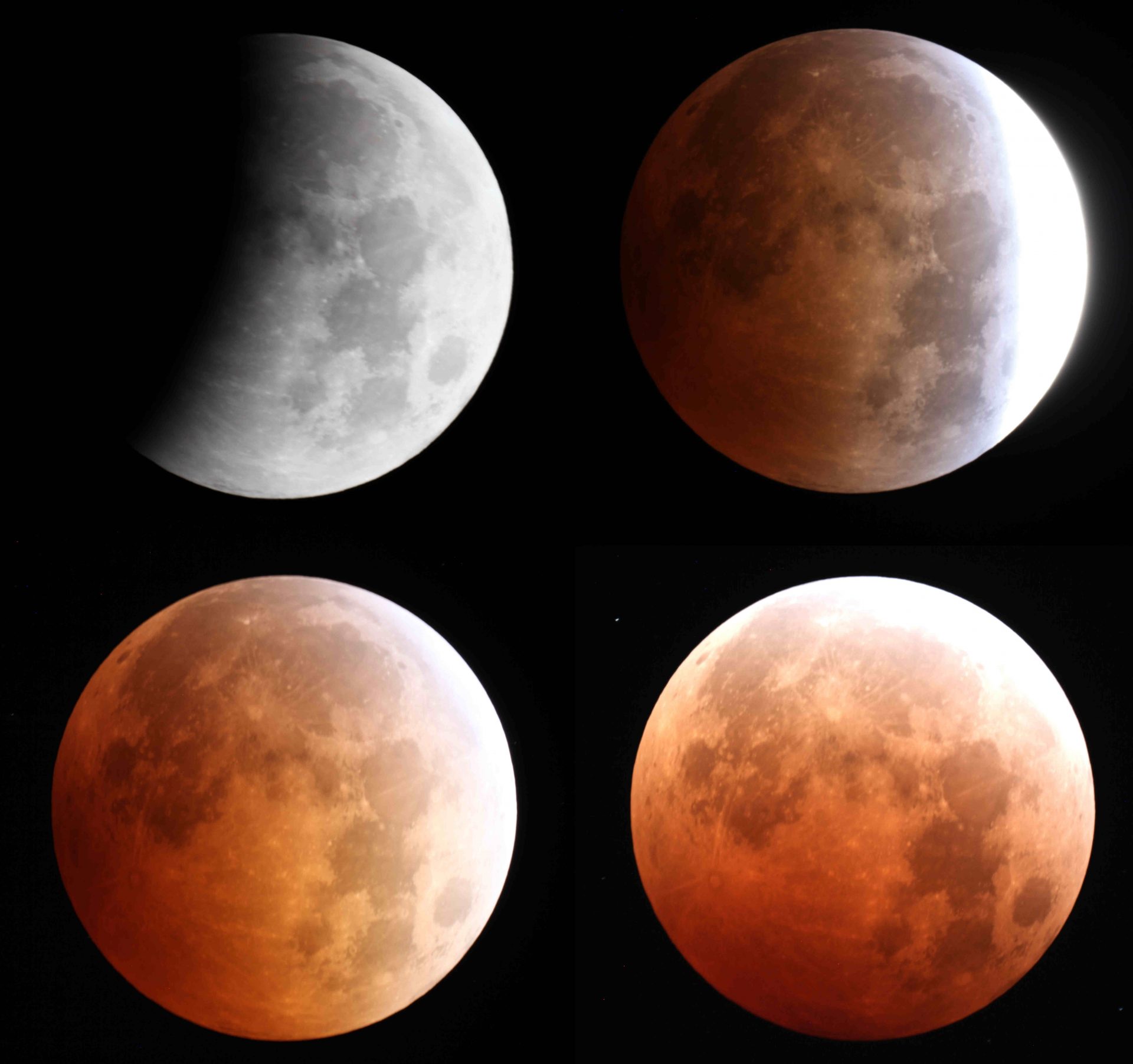 Appropriate how ‘bloody’ will the Orderly Flower Blood Moon eclipse test this week?