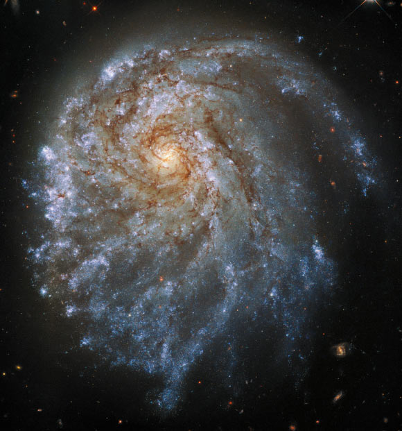 Hubble Spots Beautiful Interacting Galaxy: NGC 2276