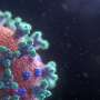 Palau info first coronavirus case nonetheless says no an infection possibility
