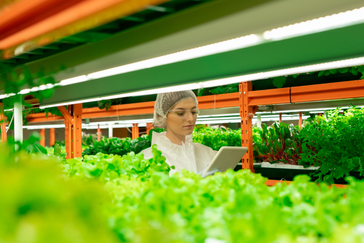 iFarm talks ‘subsequent generation’ of vertical farming, Qatar expansion