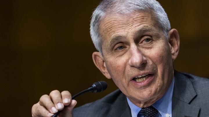 ‘That’s Nonsense’: Fauci Responds To GOP Backlash Over His Emails On Covid Starting up accumulate