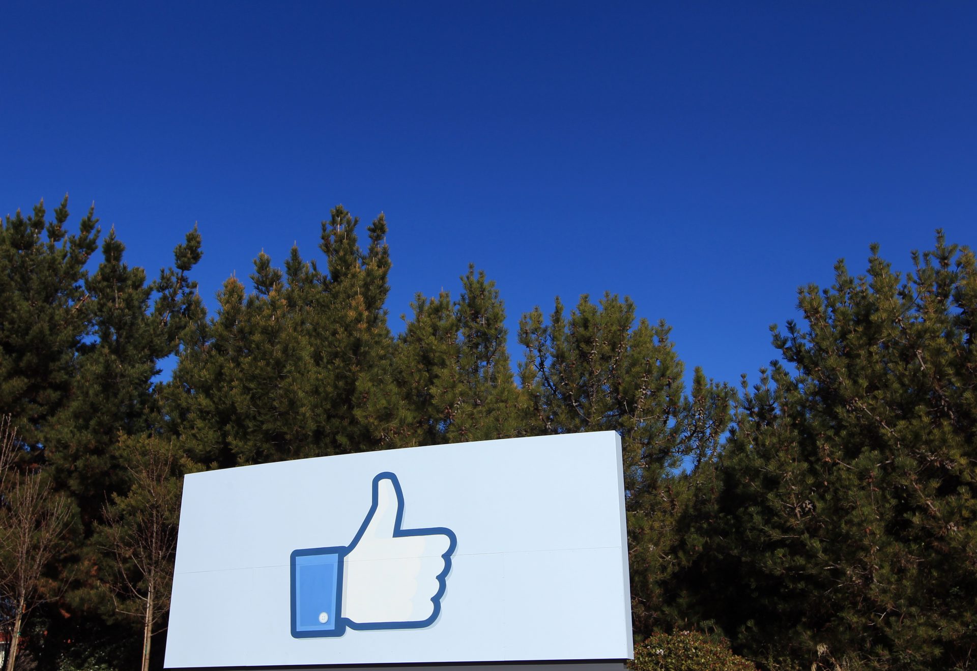 Facebook’s ‘Bulletin’ newsletter platform also can starting up earlier than the stop of June