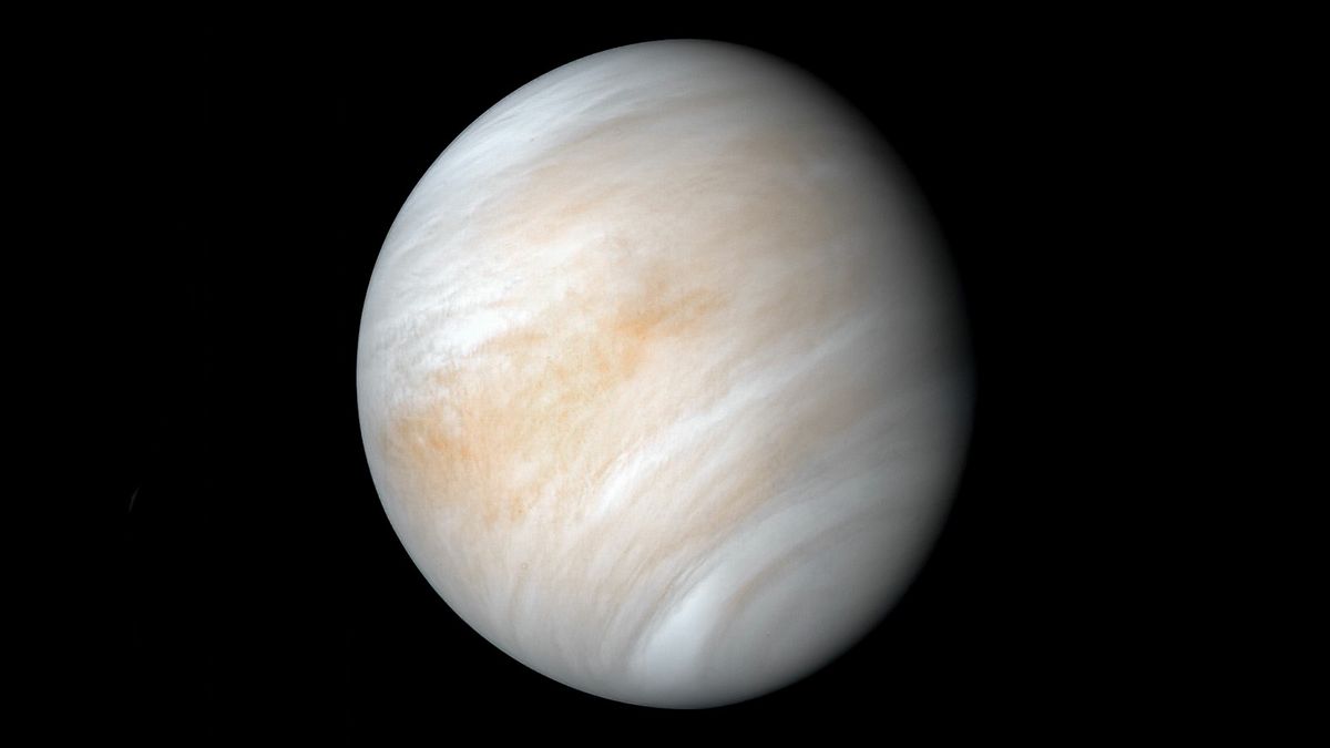 Why Venus is succor within the exploration limelight