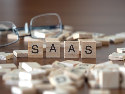 Making the Pass to a SaaS Usage-Basically essentially based Mannequin