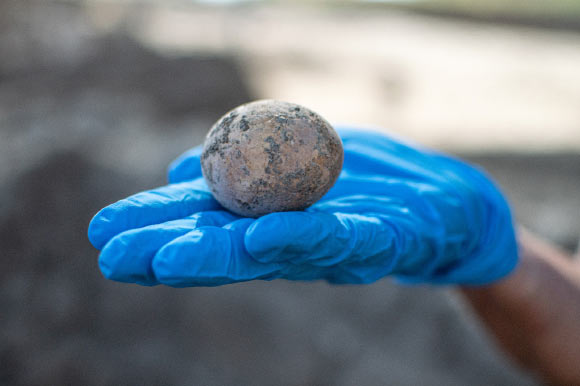 Israeli Archaeologists Obtain 1,000-Yr-Worn Intact Chicken Egg