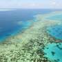 Australia fights UN downgrade of Unparalleled Barrier Reef health