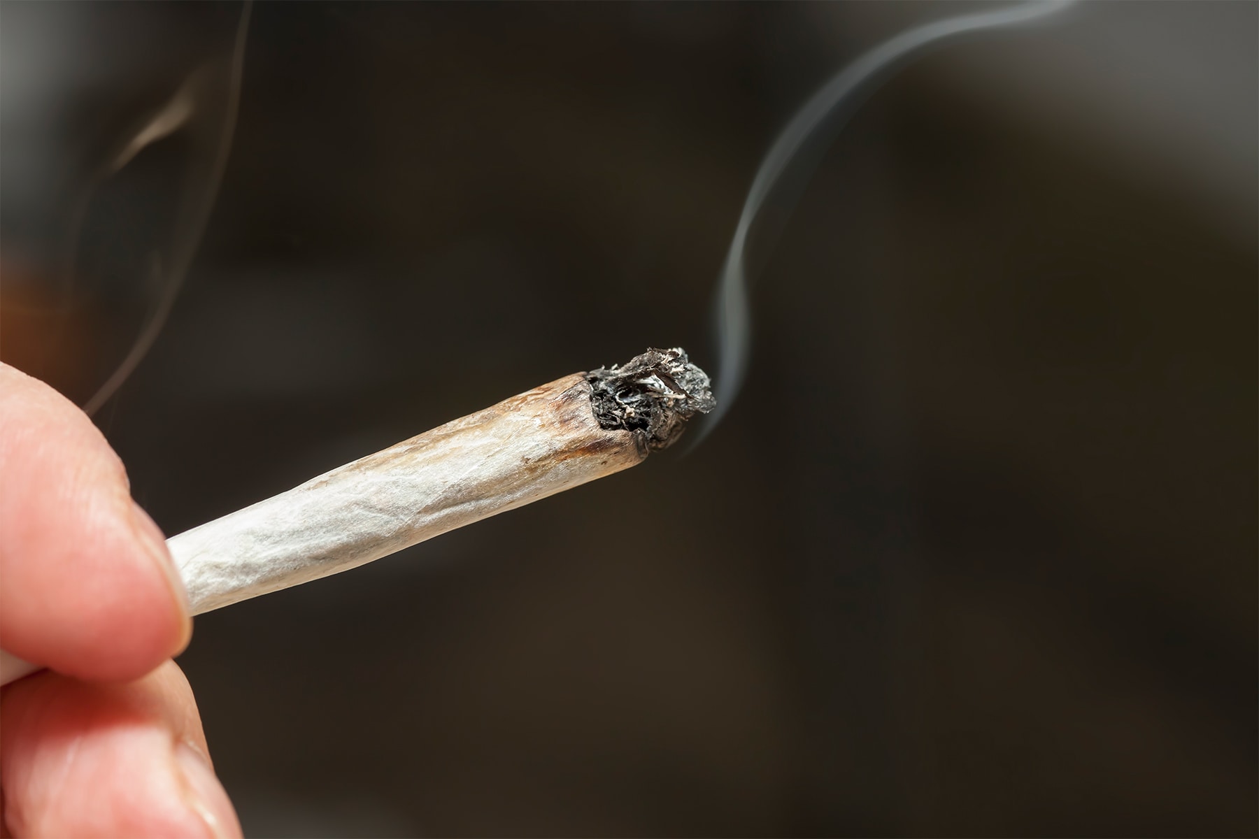 Marijuana Use Tied to Increased Odds for Strategies of Suicide
